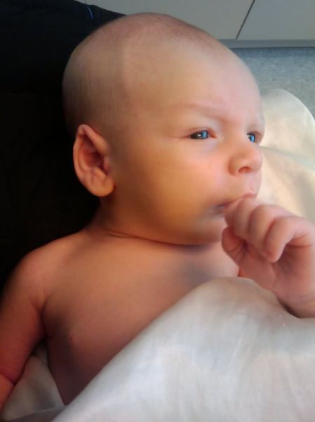 daily picdump 100 pics 16.html - 100 HD Photos | Premium Gallery 2011