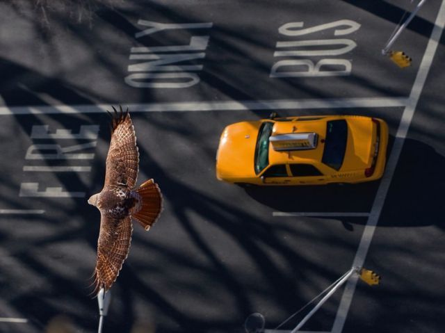 morning picdump 64 pics 31.html - 64 HD Photos | Premium Gallery 2011