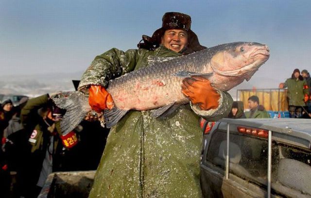 morning picdump 64 pics 31.html - 64 HD Photos | Premium Gallery 2011