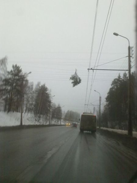 morning picdump 57 pics 23.html - 57 HD Photos | Premium Gallery 2011