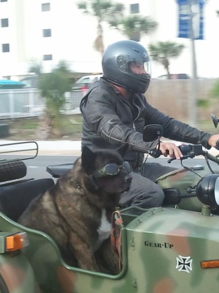 morning picdump 57 pics 23.html - 57 HD Photos | Premium Gallery 2011