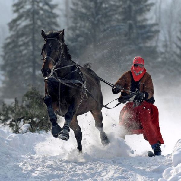 morning picdump 54 pics 7.html - 54 HD Photos | Premium Gallery 2012