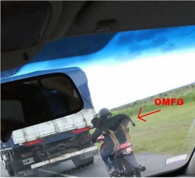 morning picdump 58 pics 16.html - 58 HD Photos | Premium Gallery 2012