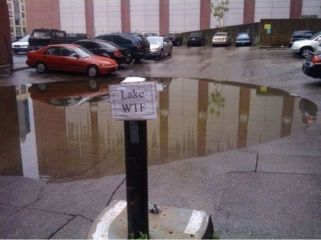 morning picdump 58 pics 16.html - 58 HD Photos | Premium Gallery 2012