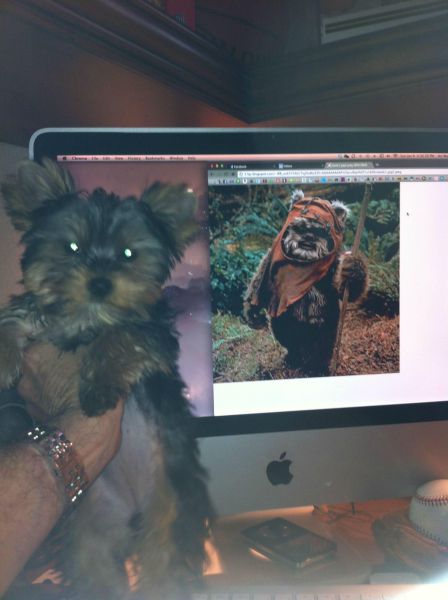 morning picdump 58 pics 16.html - 58 HD Photos | Premium Gallery 2012