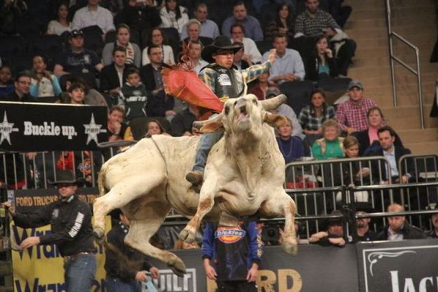 daily picdump 84 pics 3.html - 84 HD Photos | Premium Gallery 2012