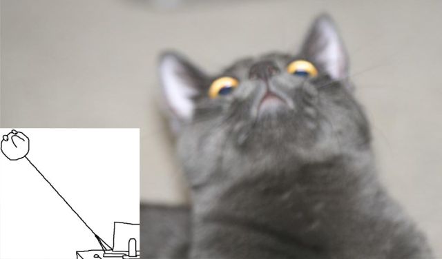 daily picdump 84 pics 3.html - 84 HD Photos | Premium Gallery 2012