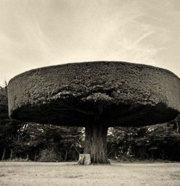 daily picdump 84 pics 3.html - 84 HD Photos | Premium Gallery 2012