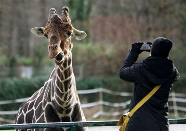 daily picdump 84 pics 3.html - 84 HD Photos | Premium Gallery 2012