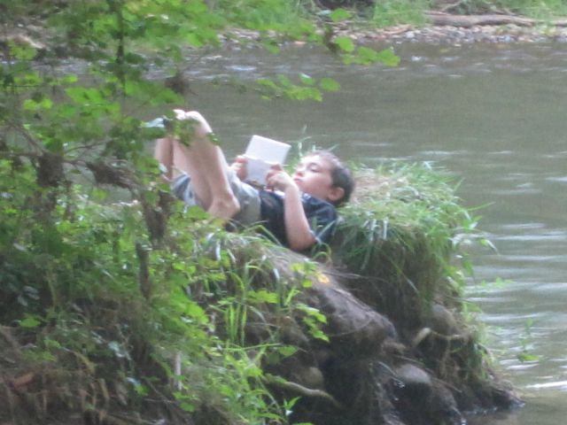 daily picdump 84 pics 3.html - 84 HD Photos | Premium Gallery 2012