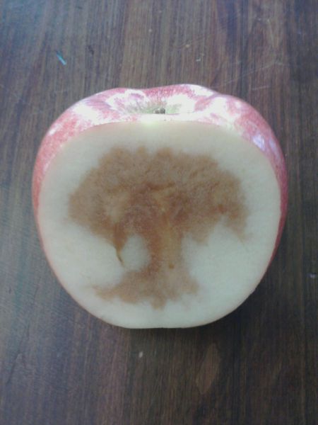 morning picdump 57 pics 48.html - 57 HD Photos | Premium Gallery 2012