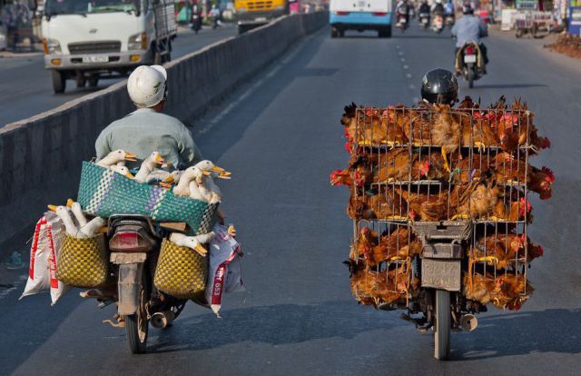 morning picdump 55 pics 22.html - 55 HD Photos | Premium Gallery 2012