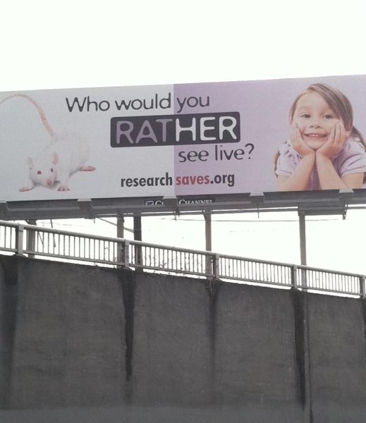 morning picdump 55 pics 22.html - 55 HD Photos | Premium Gallery 2012