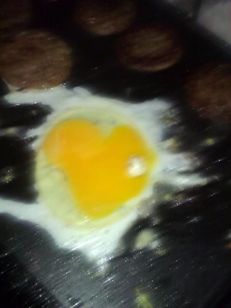 morning picdump 60 pics 26.html - 60 HD Photos | Premium Gallery 2012