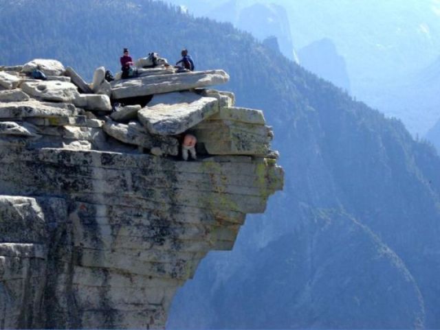 morning picdump 63 pics 6.html - 63 HD Photos | Premium Gallery 2012