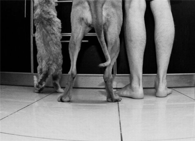 morning picdump 57 pics 57.html - 57 HD Photos | Premium Gallery 2012