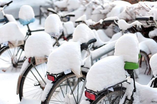 morning picdump 57 pics 57.html - 57 HD Photos | Premium Gallery 2012