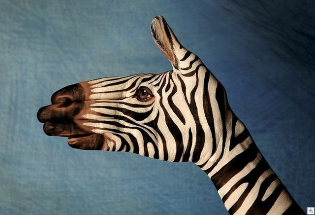 morning picdump 57 pics 57.html - 57 HD Photos | Premium Gallery 2012