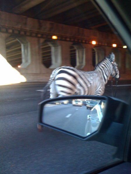 morning picdump 57 pics 57.html - 57 HD Photos | Premium Gallery 2012