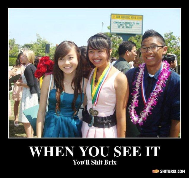 Hilarious and Puzzling ShitBrix Memes. Part 2