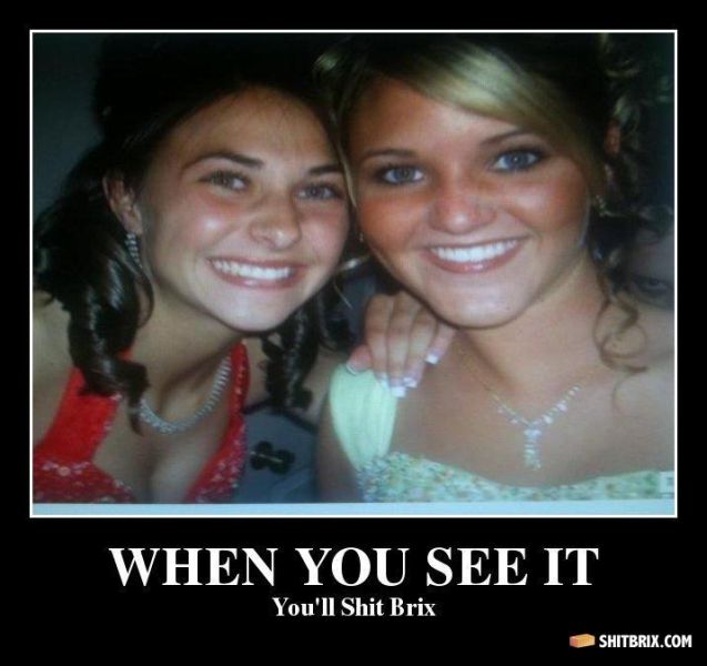 Hilarious and Puzzling ShitBrix Memes. Part 2