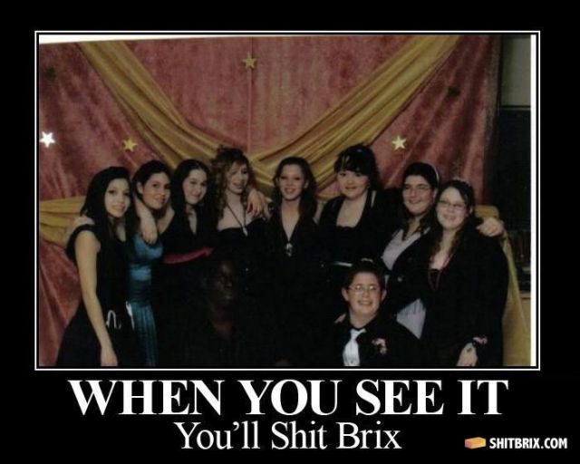 Hilarious and Puzzling ShitBrix Memes. Part 2