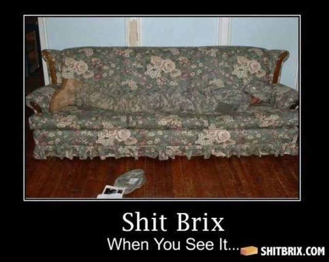 Hilarious and Puzzling ShitBrix Memes. Part 2