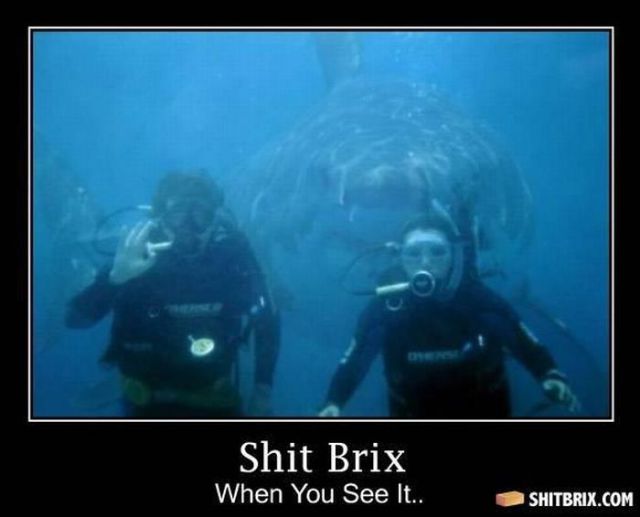 Hilarious and Puzzling ShitBrix Memes. Part 2