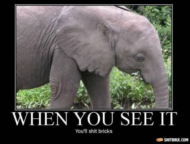 Hilarious and Puzzling ShitBrix Memes. Part 2