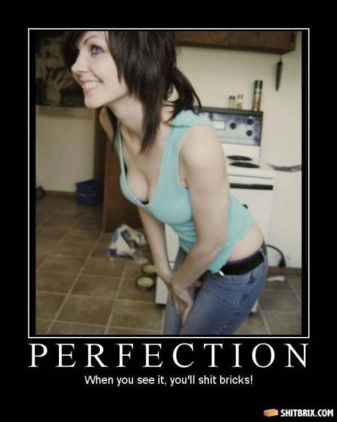 Hilarious and Puzzling ShitBrix Memes. Part 2