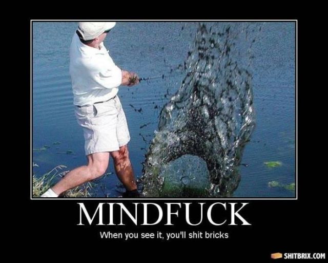 Hilarious and Puzzling ShitBrix Memes. Part 2