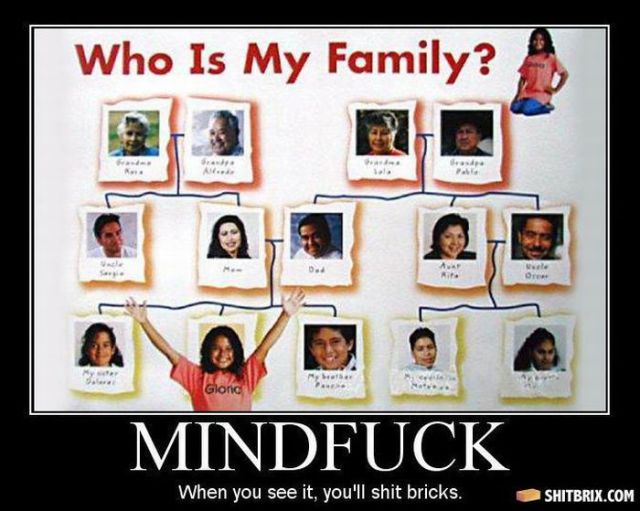 Hilarious and Puzzling ShitBrix Memes. Part 2