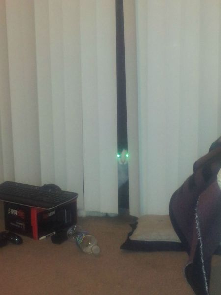 morning picdump 57 pics 35.html - 57 HD Photos | Premium Gallery 2012