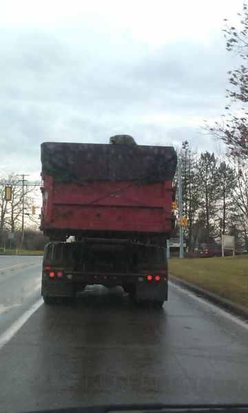 morning picdump 57 pics 35.html - 57 HD Photos | Premium Gallery 2012