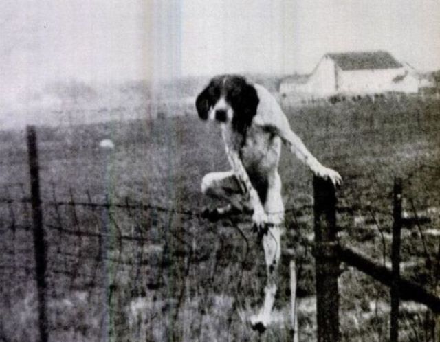 morning picdump 54 pics 31.html - 54 HD Photos | Premium Gallery 2012