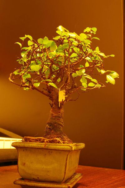 morning picdump 54 pics 31.html - 54 HD Photos | Premium Gallery 2012