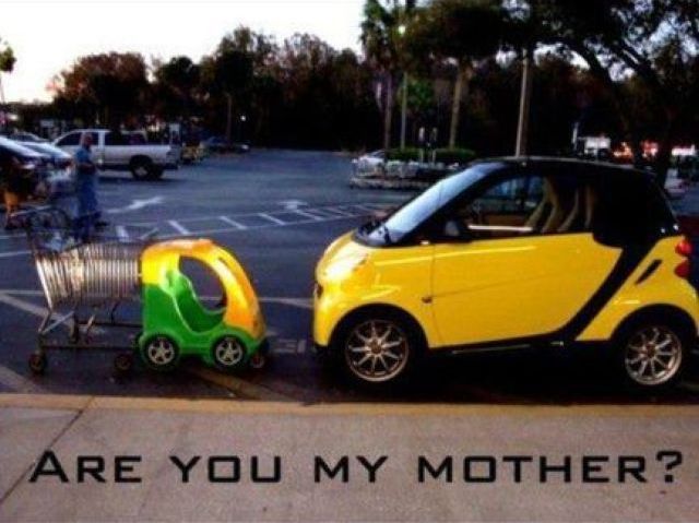 morning picdump 54 pics 31.html - 54 HD Photos | Premium Gallery 2012