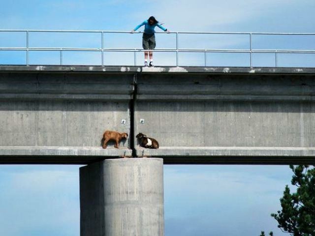 morning picdump 54 pics 31.html - 54 HD Photos | Premium Gallery 2012