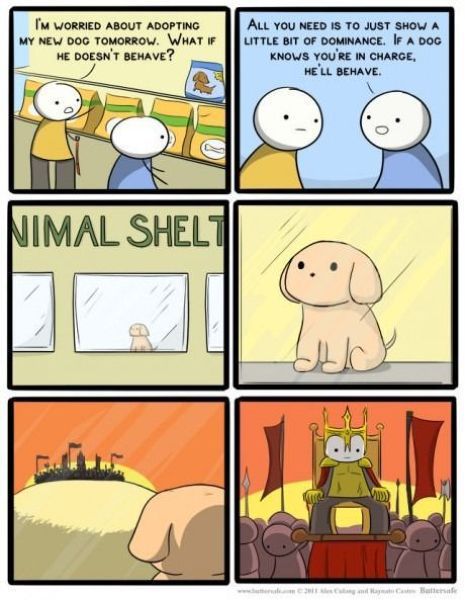 morning picdump 54 pics 31.html - 54 HD Photos | Premium Gallery 2012