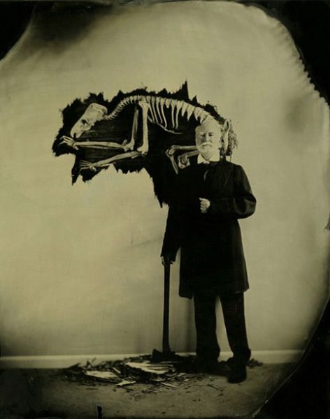 daily picdump 90 pics 24.html - 90 HD Photos | Premium Gallery 2012