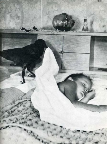 daily picdump 90 pics 24.html - 90 HD Photos | Premium Gallery 2012