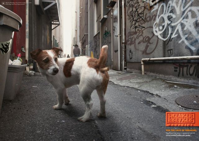 daily picdump 90 pics 24.html - 90 HD Photos | Premium Gallery 2012