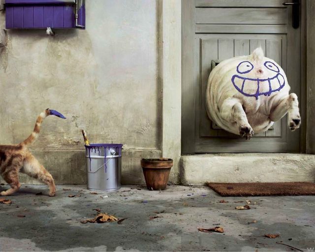 morning picdump 59 pics 15.html - 59 HD Photos | Premium Gallery 2012