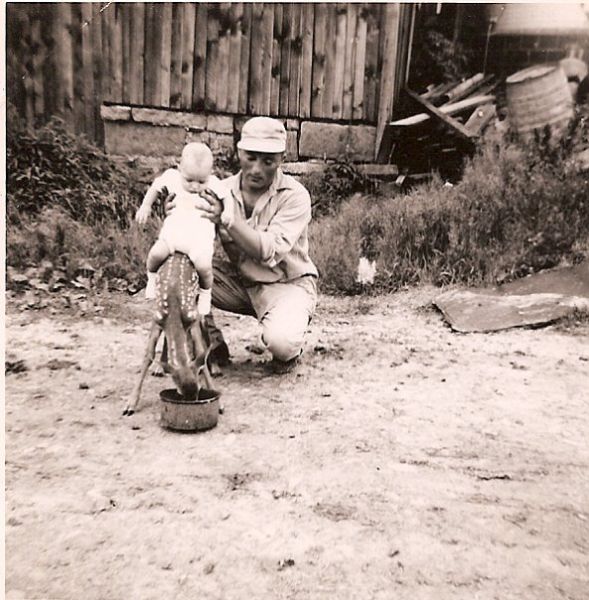 morning picdump 60 pics 58.html - 60 HD Photos | Premium Gallery 2012