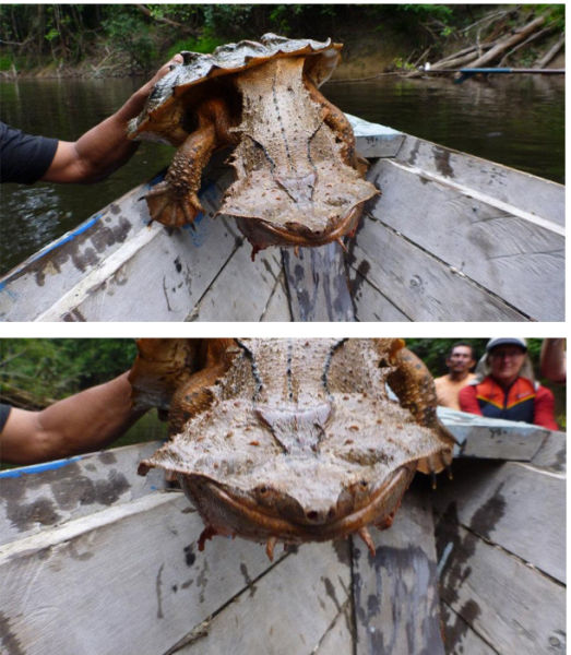 morning picdump 60 pics 58.html - 60 HD Photos | Premium Gallery 2012