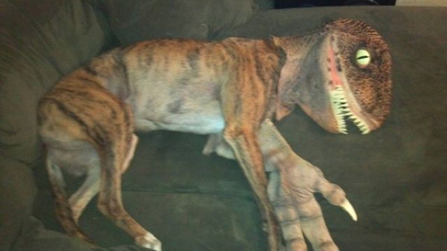 morning picdump 60 pics 58.html - 60 HD Photos | Premium Gallery 2012