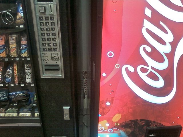 morning picdump 60 pics 58.html - 60 HD Photos | Premium Gallery 2012