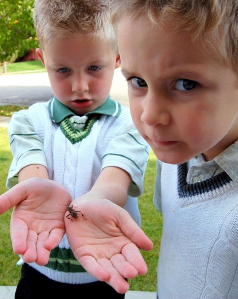 morning picdump 60 pics 58.html - 60 HD Photos | Premium Gallery 2012