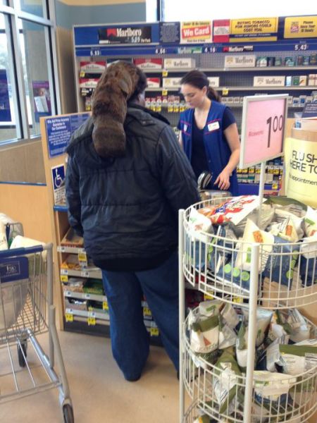 morning picdump 60 pics 58.html - 60 HD Photos | Premium Gallery 2012