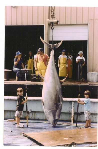 morning picdump 57 pics 9.html - 57 HD Photos | Premium Gallery 2012